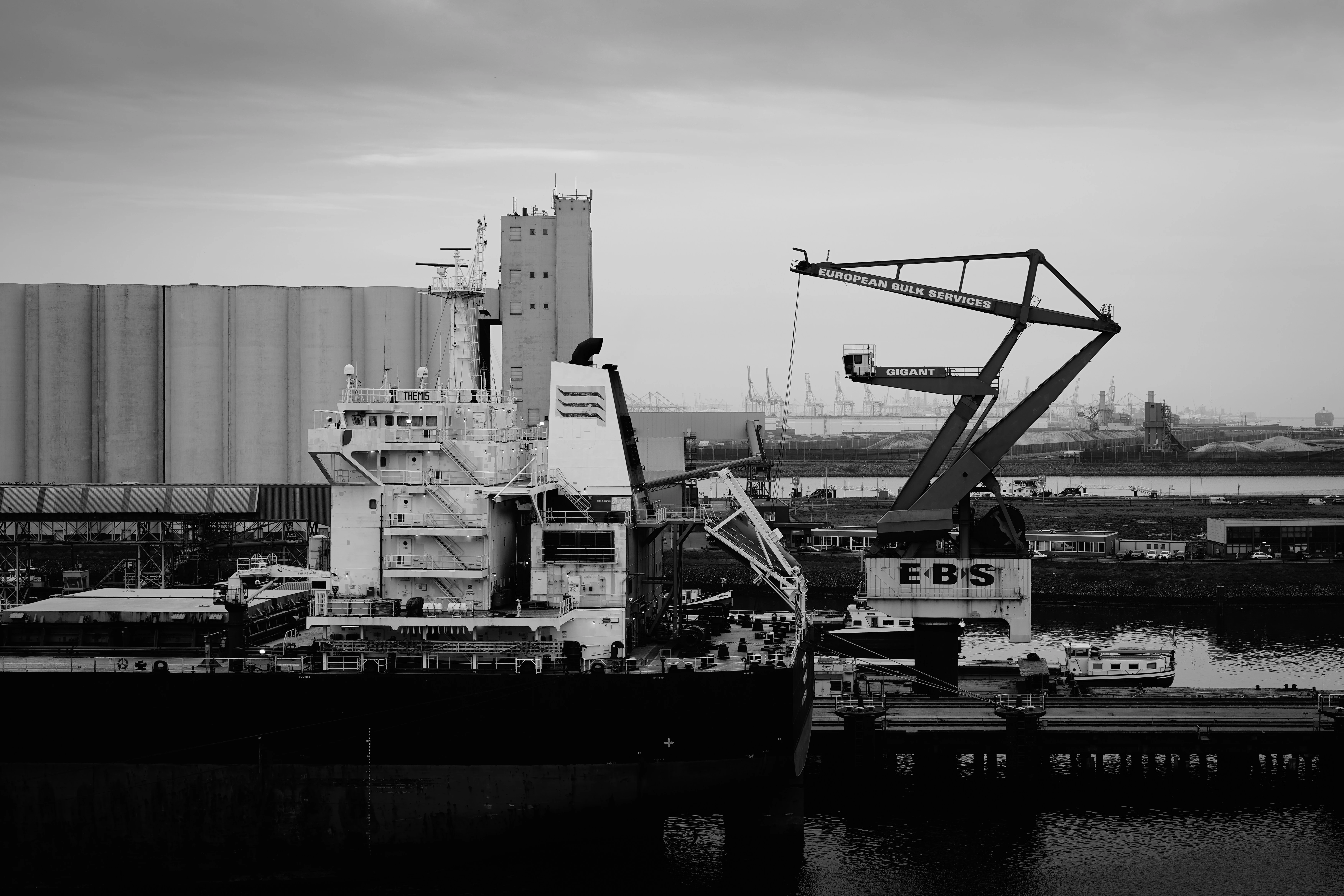 Manufacturing & Export Industry